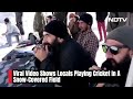 Kashmir Snowfall | When A Cricket Pitch Was Set Up In Middle Of A Snow-Covered Field  - 01:43 min - News - Video