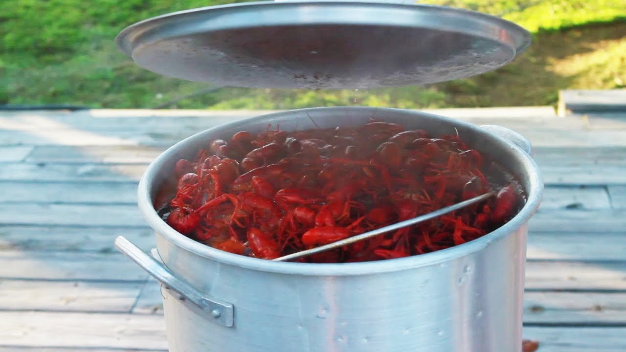 how-to-cook-crawfish-youtube