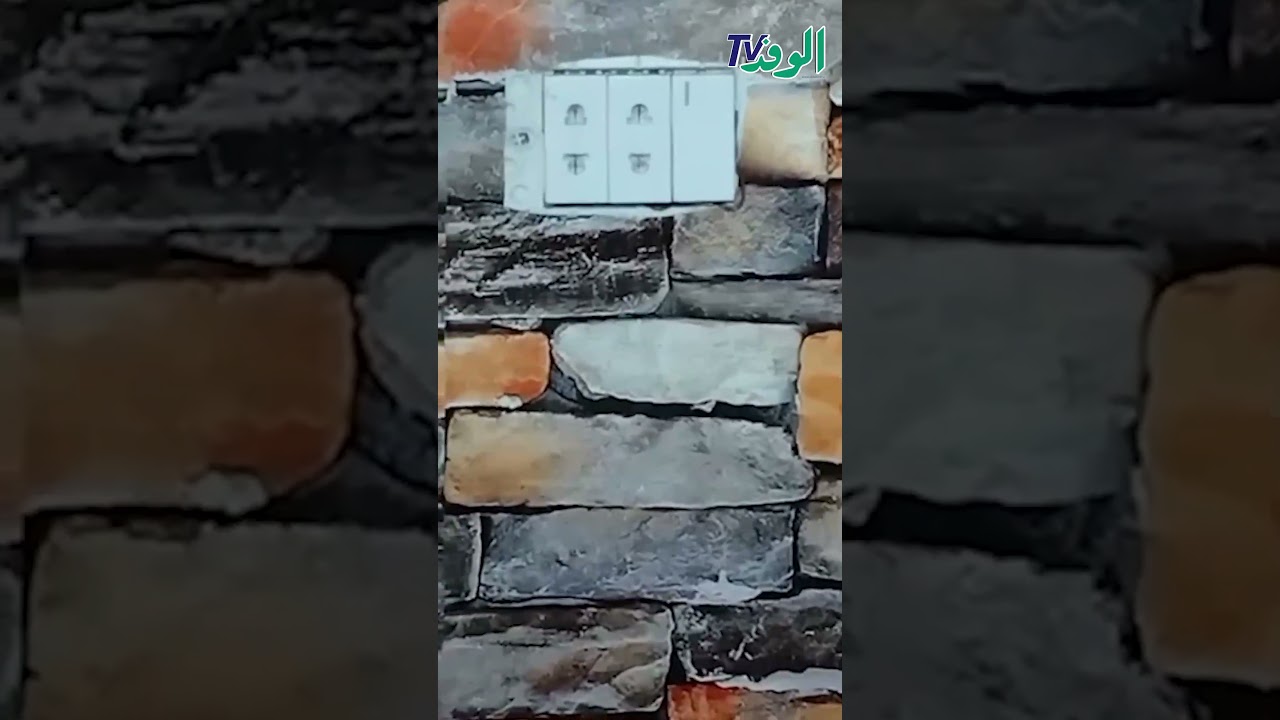 ثعبان يخرج من فيشة الكهرباء.. مشهد مرعب داخل منزل