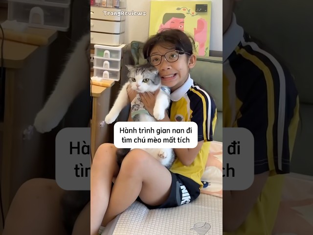 Hành trình gian nan đi tìm chú mèo mất tích #shorts ￼