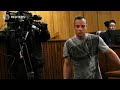 Pistorius to have parole hearing on Friday