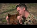 Retired military dog reunites with previous handler  - 01:56 min - News - Video