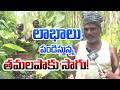 లాభాలు పండిస్తున్న తమలపాకు సాగు! | Betel Leaves Cultivation | Matti Manishi | 10TV News