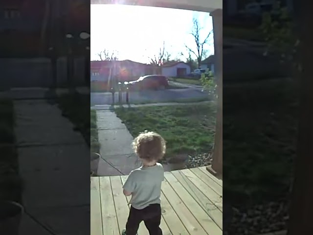 Toddler Returns Neighbor's Dog After It Got Loose