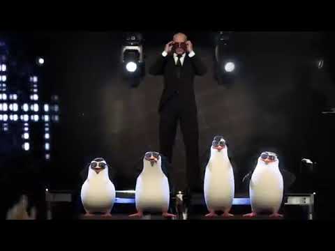 Pitbull - Celebrate (from the Original Motion Picture Penguins of Madagascar) Official Music Video