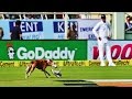 India vs ENG 2nd Test : Dog interrupts match briefly