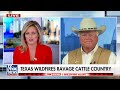 Texas wildfires ravage agriculture: Its a very desperate situation  - 05:29 min - News - Video