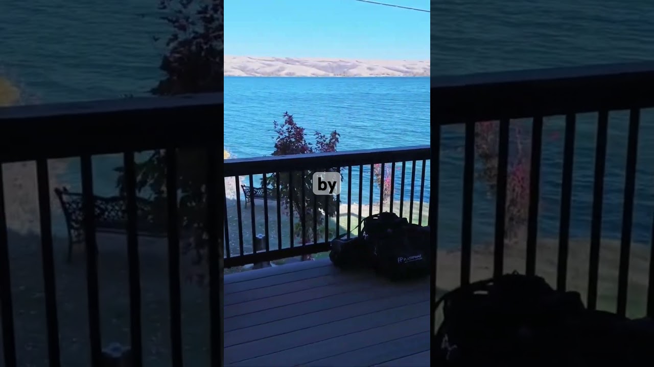 Have you seen our end of year cabin video #shorts