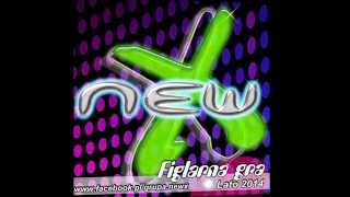 newX - Figlarna gra 2014