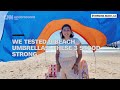 We tested 9 beach umbrellas. These 3 made the cut  - 04:09 min - News - Video