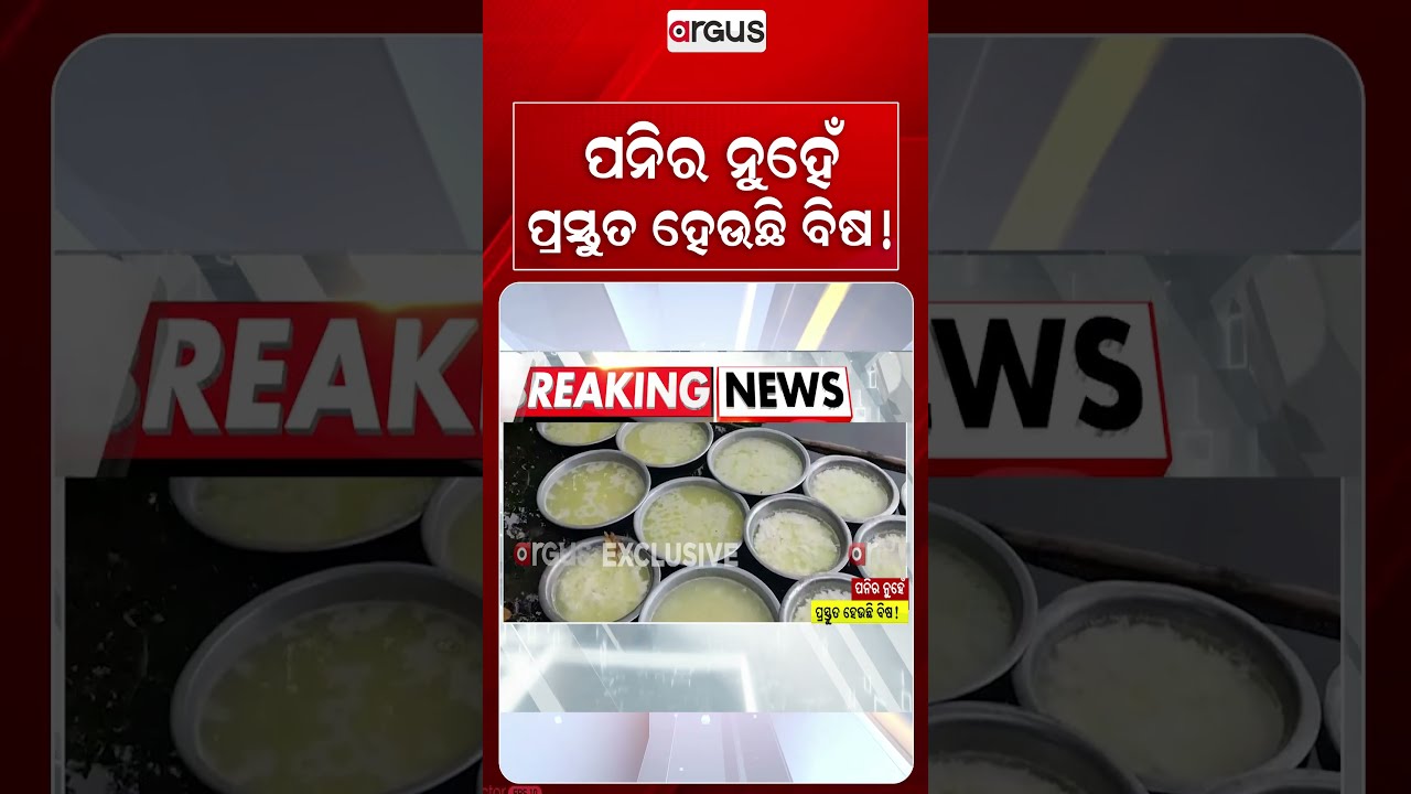 ପନିର ନୁହେଁ ପ୍ରସ୍ତୁତ ହେଉଛି ବିଷ !| Adulterated Chhena Racket Exposed In Balasore | Argus News