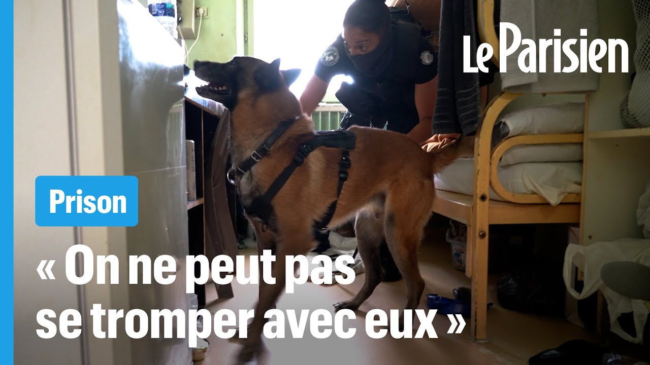 Sarah et son chien renifleur « Gun » vont défiler sur les Champs Elysées le 14 juillet