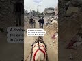 Traveling by donkey through destruction in #Gaza  - 00:33 min - News - Video