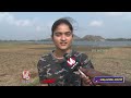 Migratory and Resident Birds Spotted At Warangal, Attracts Public | V6 News - 03:49 min - News - Video
