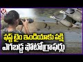 Migratory and Resident Birds Spotted At Warangal, Attracts Public | V6 News