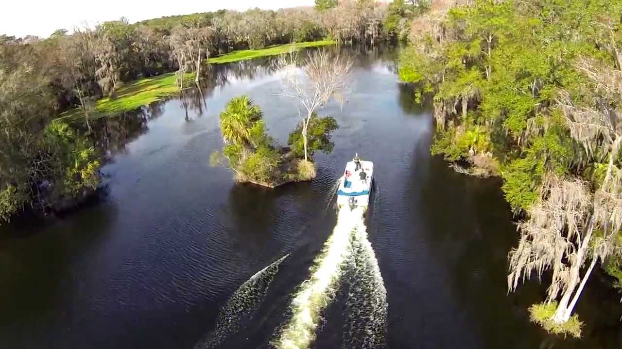 Withlacoochee river, Dunellon, Florida 01-28-14 - YouTube