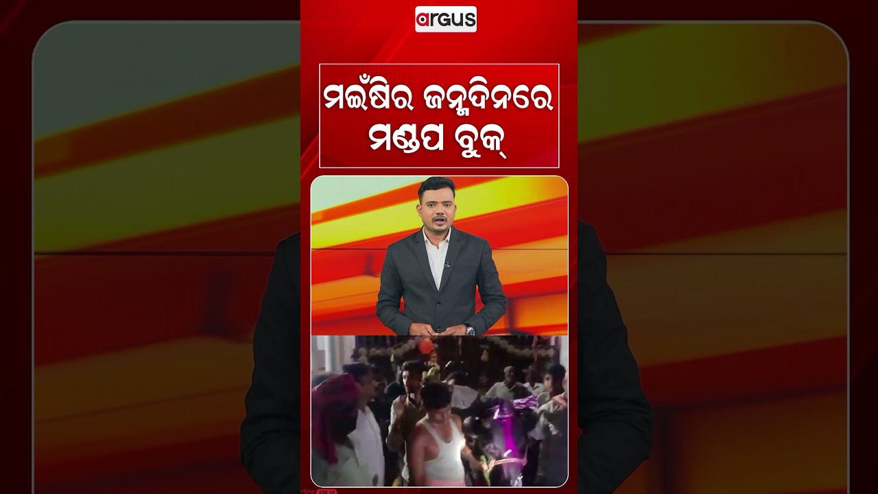 ମଇଁଷିର ଜନ୍ମଦିନରେ ମଣ୍ଡପ ବୁକ୍‌ | Mandap Booked for Buffalo's Birthday Party! | Argus News