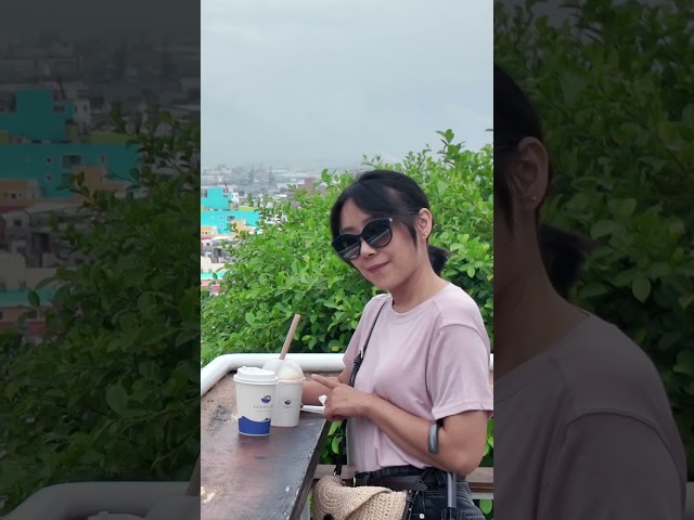 高雄一日小旅行 - 菜苔苔與菜生生