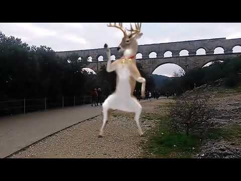 film les rennes du père Noel au pont du gard decembre 2015