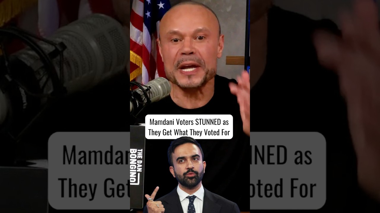 Mamdani voters STUNNED as they get what they voted for