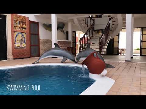 Property video