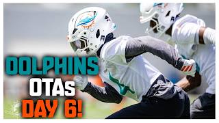 Miami Dolphins OTAs Day 6! | Malik Willis Focused On Football!