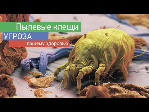 Відео - Чому кліщі так небезпечні