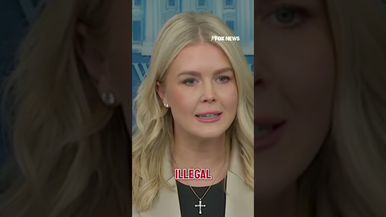 Leavitt: American patients are in waiting rooms because they’re being put behind illegal aliens #usa