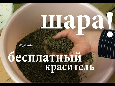 прикормка рыбы манки прикормка рыбы манки