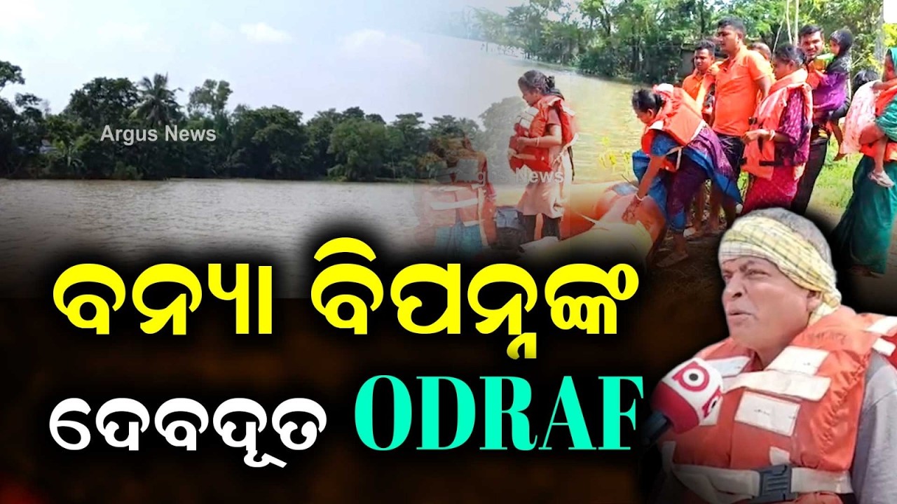 Bhograi Flooded Again: ODRAF Becomes Lifeline For Stranded Villagers | Argus News