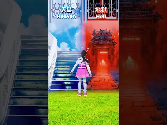 【斗罗大陆】你们觉得唐舞桐应该去哪边呢？#斗罗大陆#唐舞桐#小舞