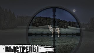 Выстрелы по волкам Выстрелы по волкам