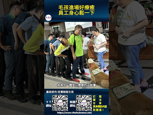 影音/毛孩進場好療癒 員工身心鬆一下