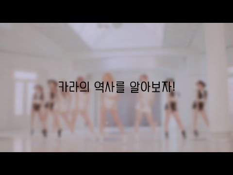 카라의 역사를 알아보자!