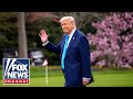 ‘The Five’: ‘Soaring eagle’ Trump is ‘running circles’ around Dems