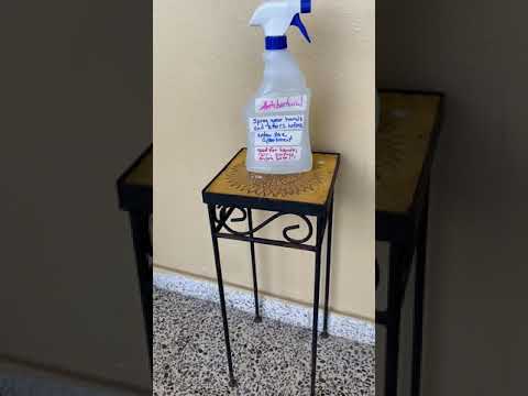 Property video