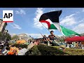 At least 2,000 arrested in pro-Palestinian protests on US campuses