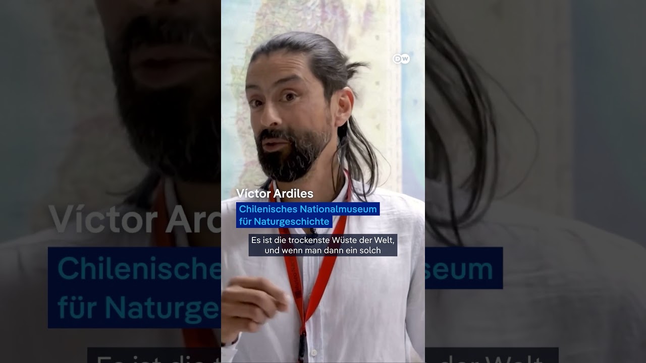 Blütenteppich in der Wüste | DW Nachrichten