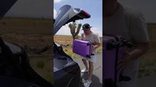 ЗАВИСИМОСТЬ ОТ ШЕРСТИ 😂 #shorts #собакиприколы