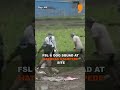 FSL Team and dog squads were seen collecting samples from the Hathras stampede site #shorts - 01:00 min - News - Video