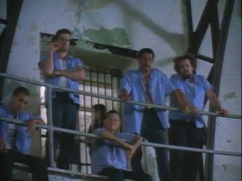 Animal Factory'