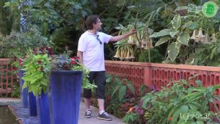 Visite #épisode 1 : Les jardins secrets de Cahors