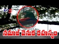 Viral Video : The Secret of Namaz On Neem Tree Revealed