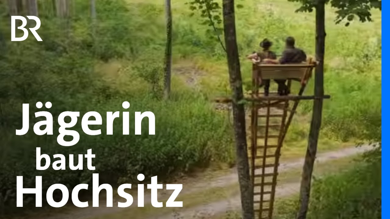 Hochsitzbau, Käferbekämpfung & Kulturfrauen im Forst | Doku-Serie Wald Queens (3/5) | BR