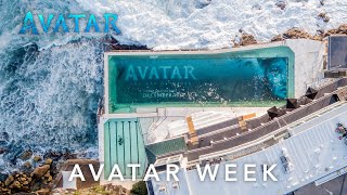 Australian Avatar Week