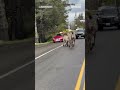 Zebras run loose on I-90 in Washington  - 00:23 min - News - Video