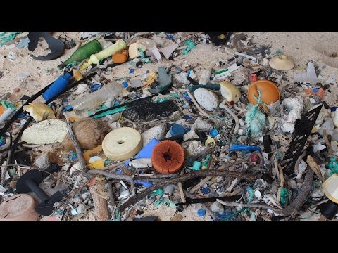 فيديو..العلماء يكشفون عن عاصمة القمامة العالمية