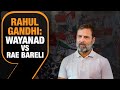 Rahul Gandhis Political Manoeuvre: Whether Wayanad or Raebareli | News9