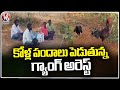 Police Arrested Gang For Conducting Cock Fight | Ranga Reddy | V6 News