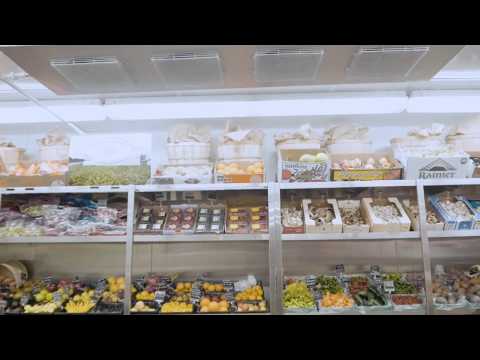 It is Sid Wainer & Son's mission to supply the food industry with the world’s finest specialty produce and specialty foods by responsibly sourcing from farms and traditional artisans locally and around the globe who share our passion for food and demand for quality, food safety, sustainable practices, and excellent customer service. It is Sid Wainer & Son's mission to supply the food industry with the world’s finest specialty produce and specialty foods by responsibly sourcing from farms and traditional artisans locally and around the globe who share our passion for food and demand for quality, food safety, sustainable practices, and excellent customer service.
